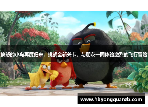 愤怒的小鸟再度归来，挑战全新关卡，与朋友一同体验激烈的飞行冒险